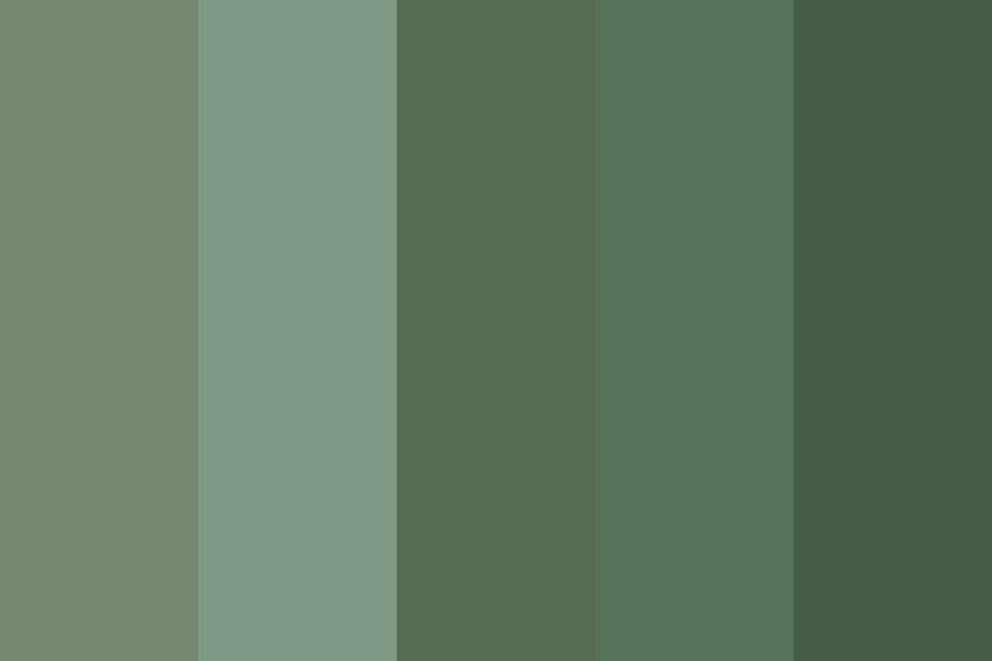 Bridesmaid dress colour gradient